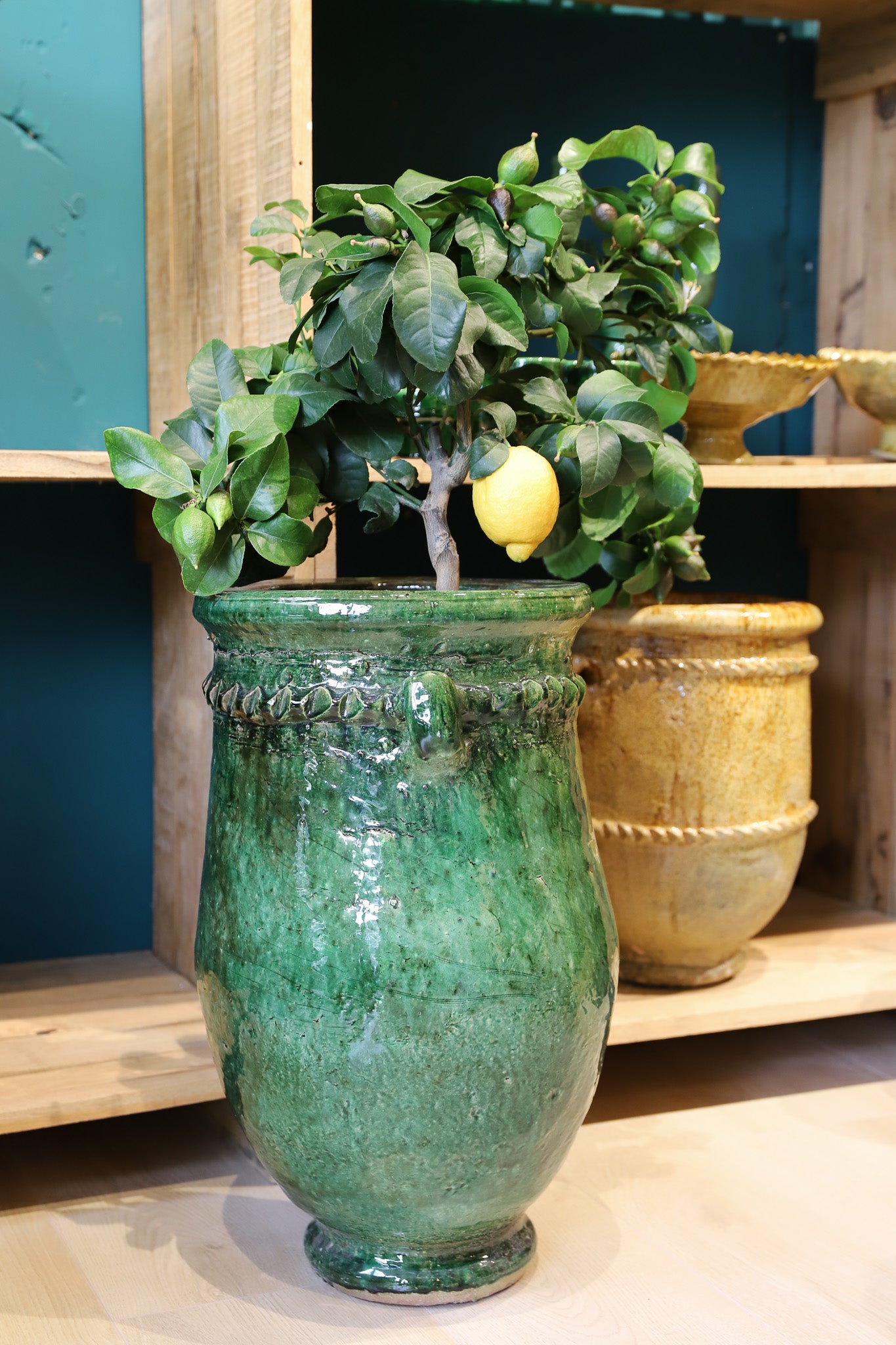 Plantpot - tamegroute - groen - 40cm