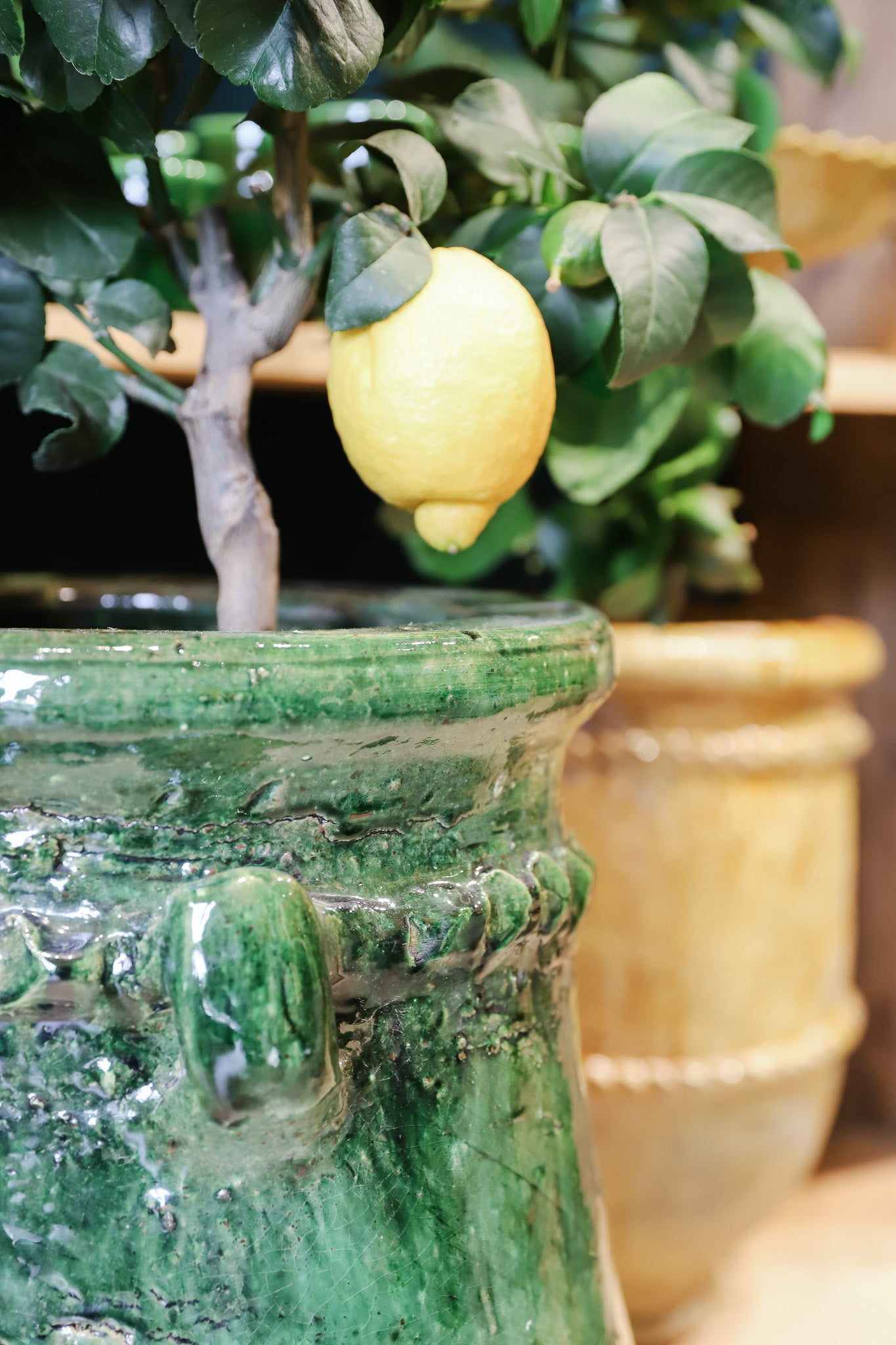 Plantpot - tamegroute - groen - 60cm