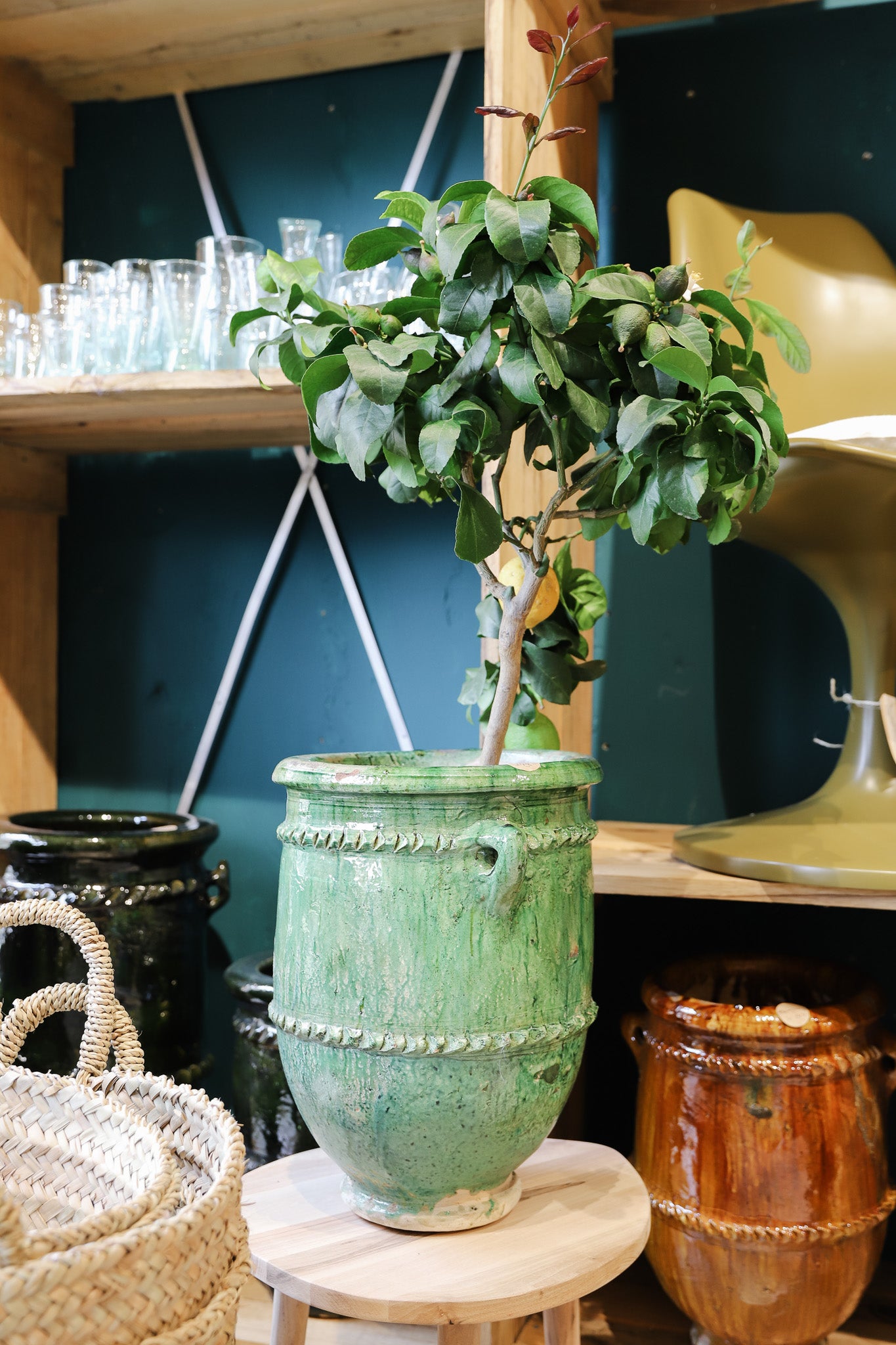 Plantpot - tamegroute - groen - 40cm