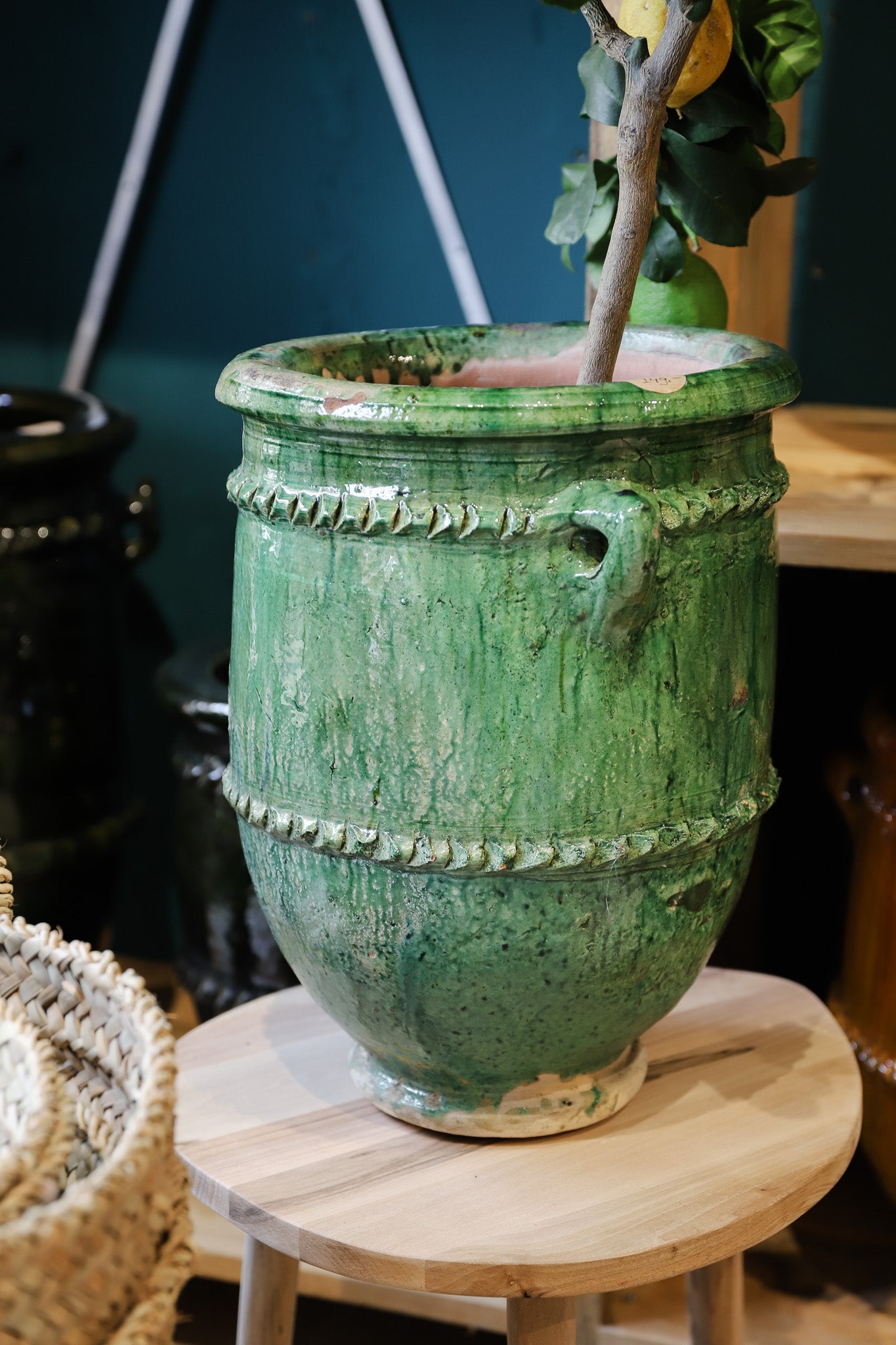Plantpot - tamegroute - groen - 40cm