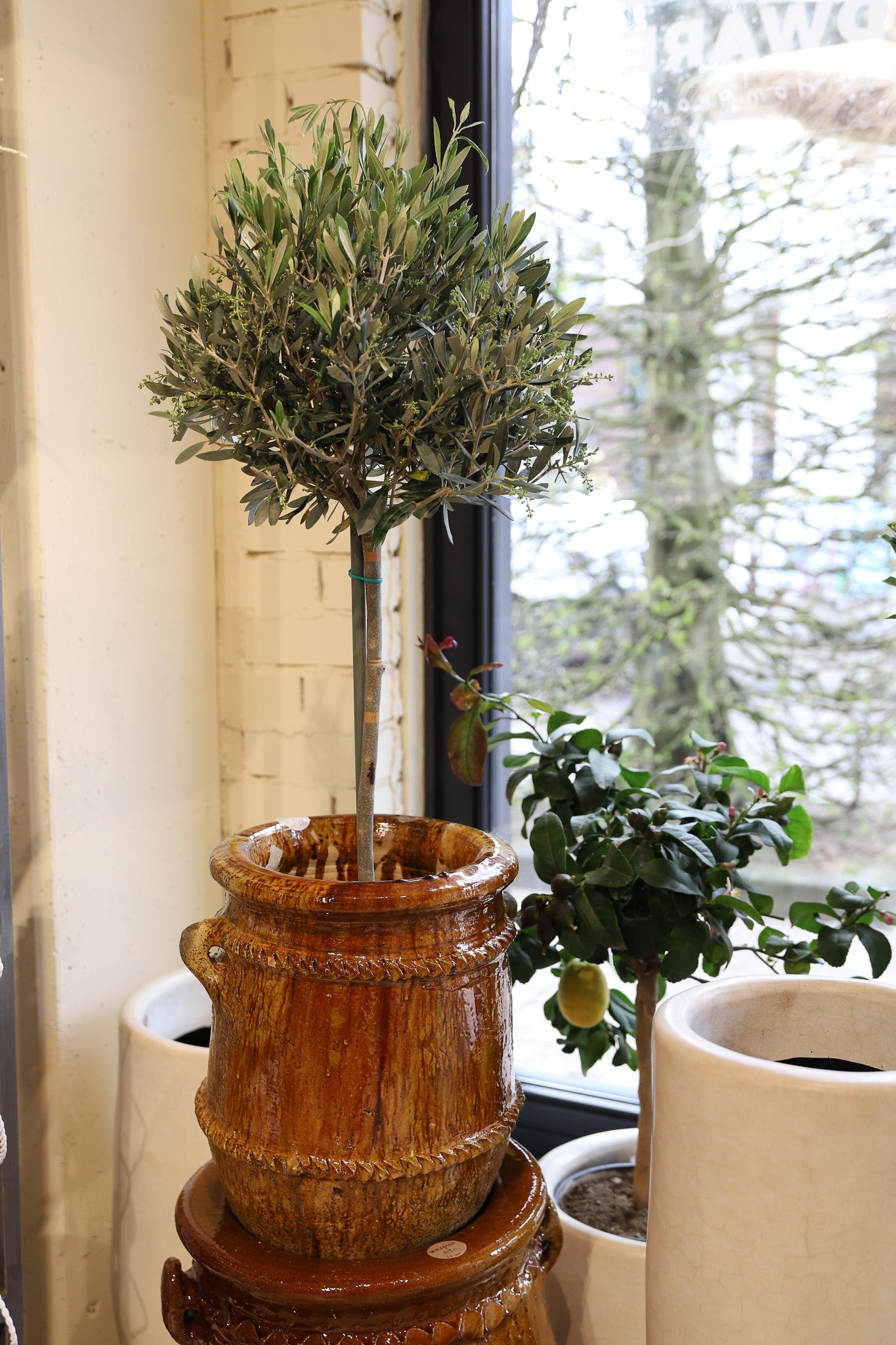 Plantpot - tamegroute - mosterd - 60cm