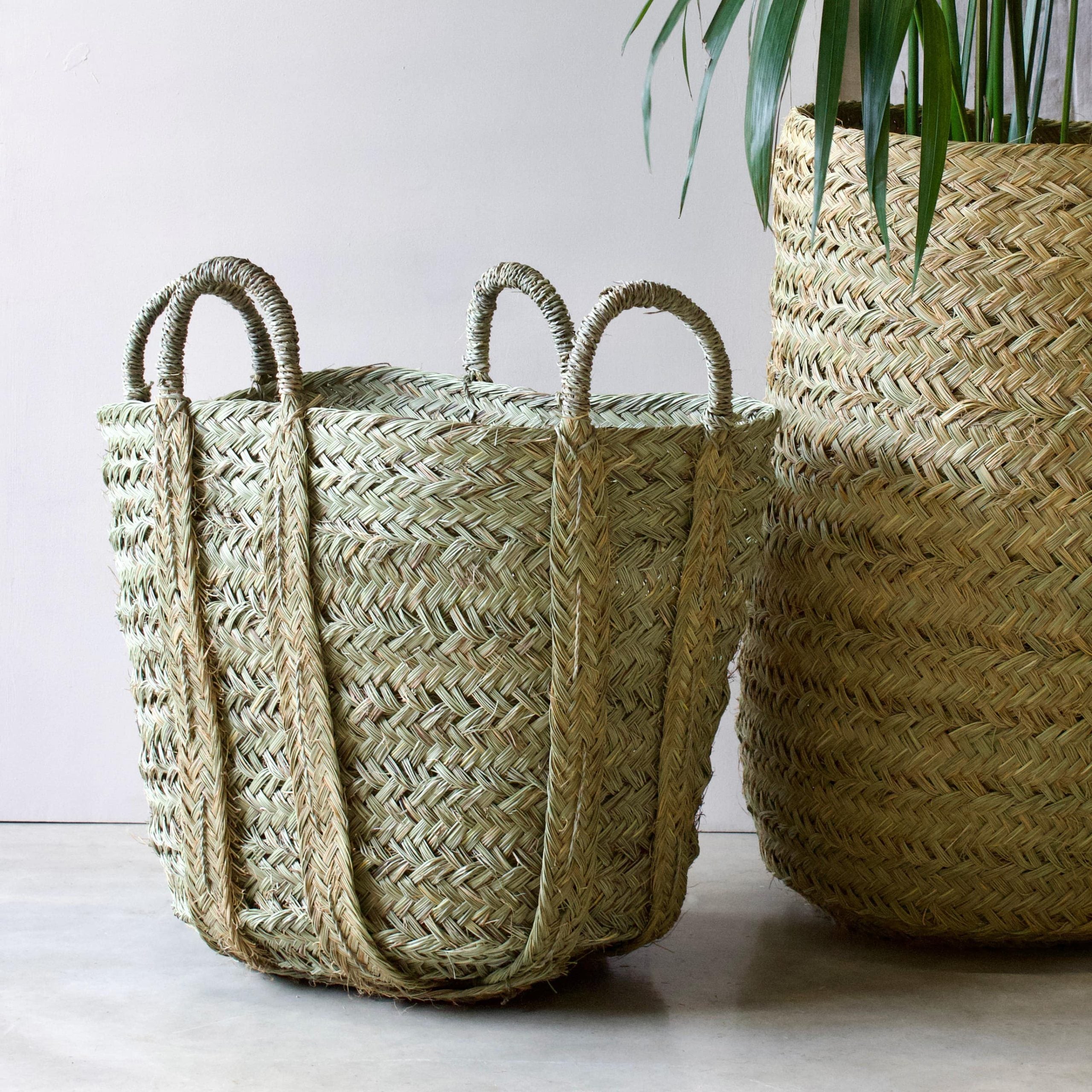 Wasmand "Seagrass"